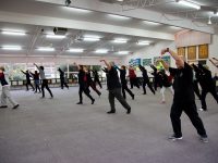 Wu Qin Xi Five Animals Qigong Workshop