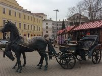 2017 Martial Arts Tour