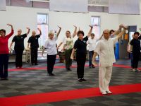 2018 12 Step Daoyin Health Qigong Workshop