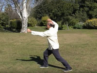 Yang Levels 5 & 6: Front view