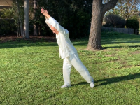 TaiChi & Qigong Master Class