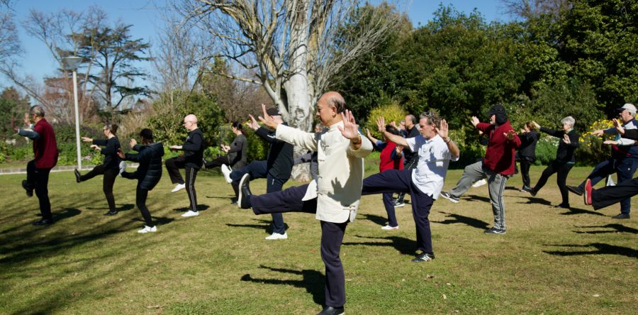 2022 Essendon Tai Chi Park Lesson