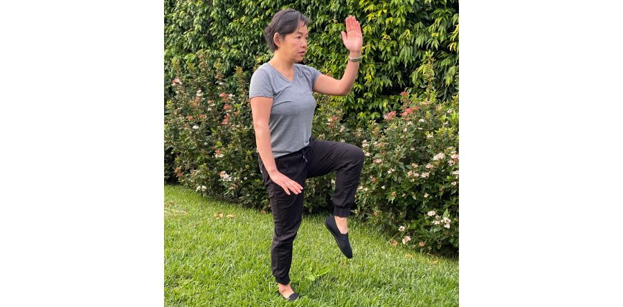 A novice student’s perspective – 2 years on