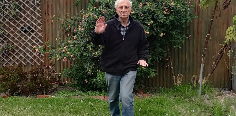 Experience of a beginner