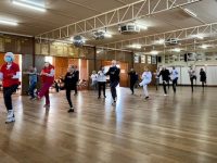 2024 August Qigong Master Class