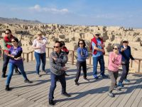 Public Performances by the Celestial Tai Chi College