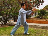 2025 August: TaiChi & Qigong Master Class