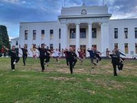 The Tai Chi family