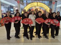 Chinese New Year Tai Chi Performance